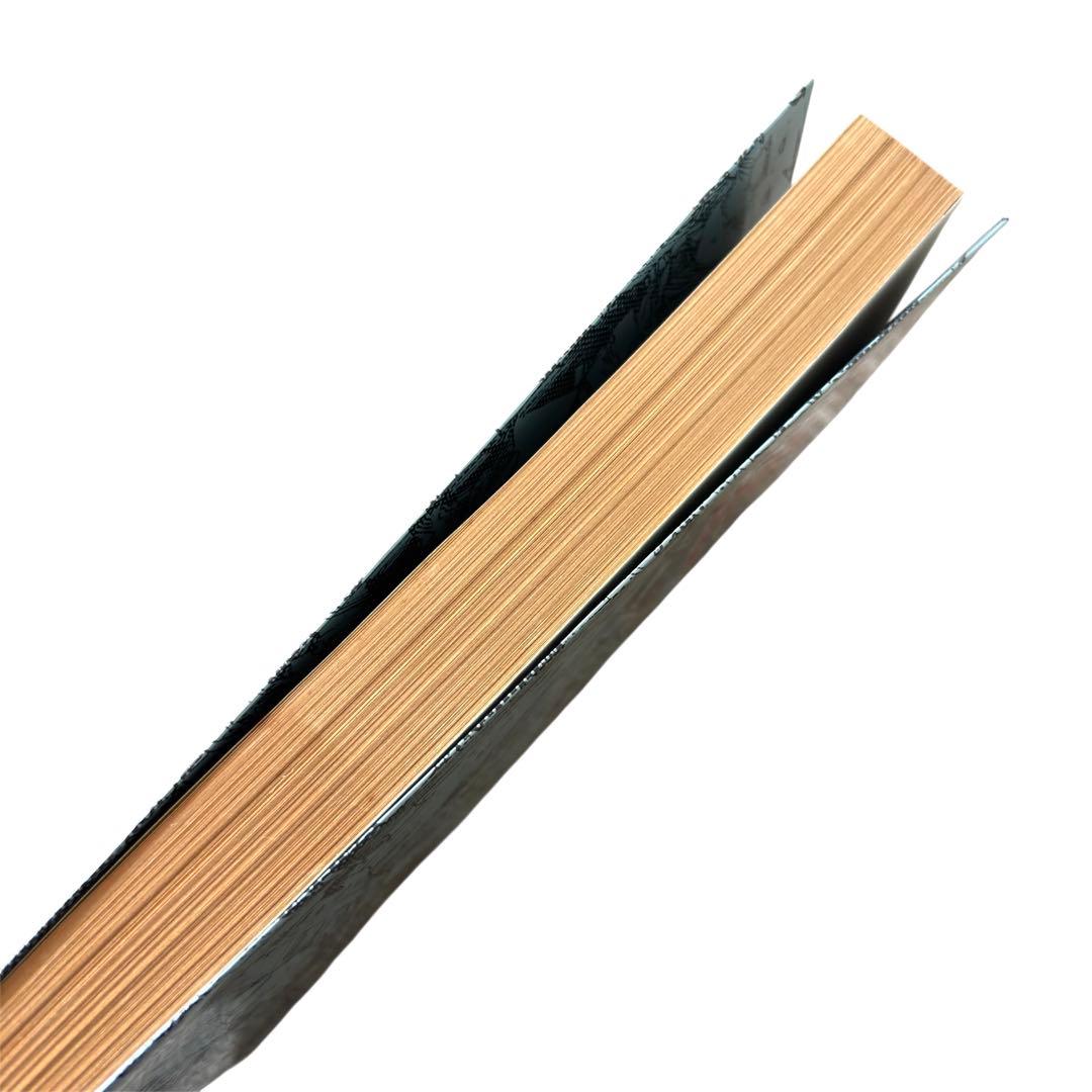 初版 童夢 大友克洋 1983年発行