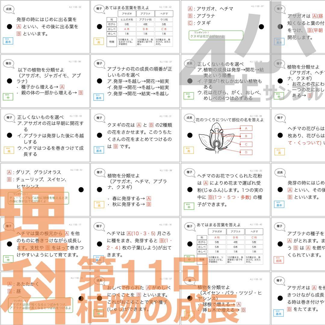 中学受験 暗記カード【4年生向け 理科上下 生物全セット】植物,動物